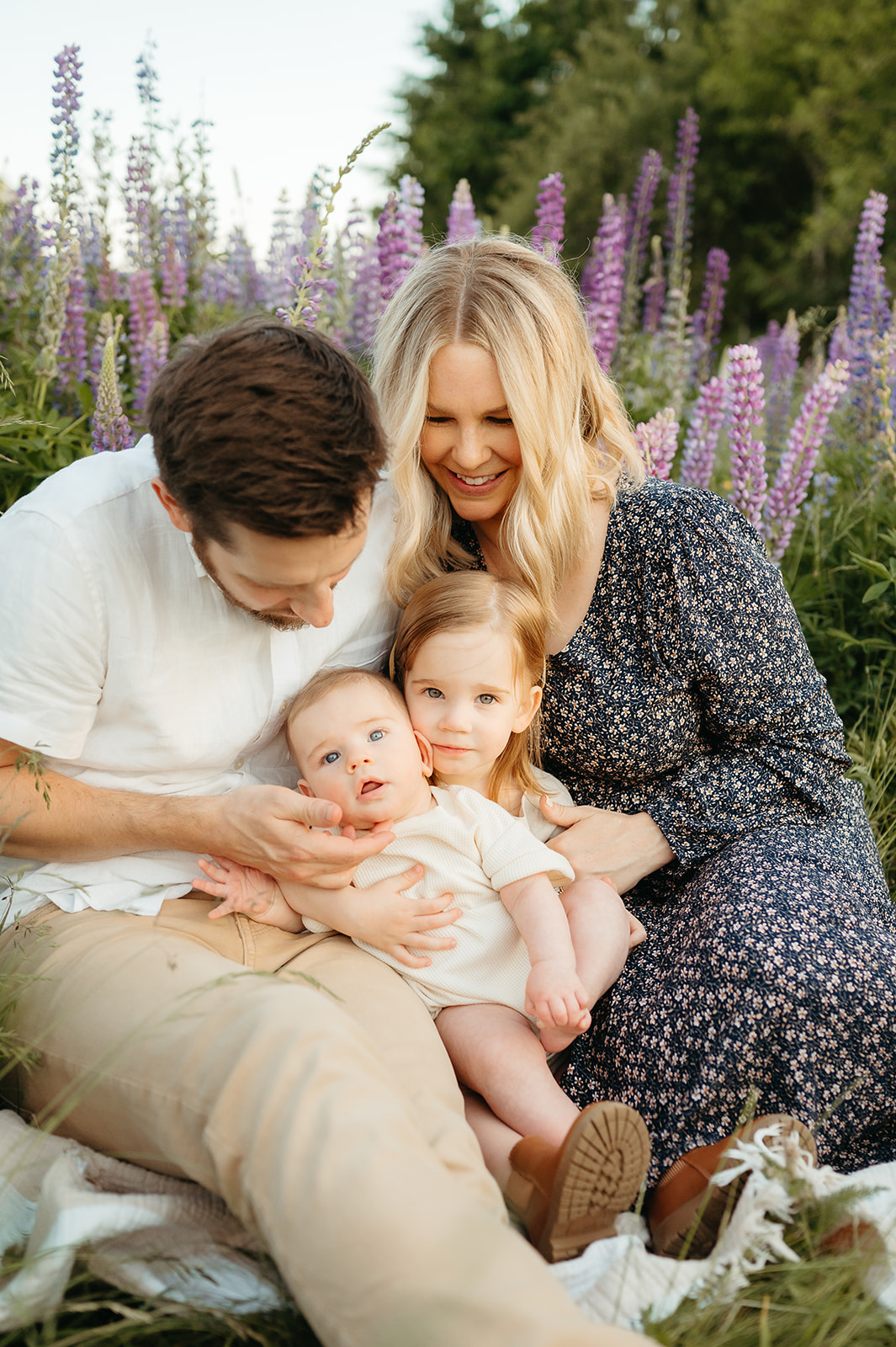 Parents and their two young children cuddled together in a field of blooming purple flowers. A soft, dreamy family session capturing authentic connection and love.